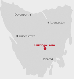 Map of Tasmania, with Curringa Farm marked with a red dot.
