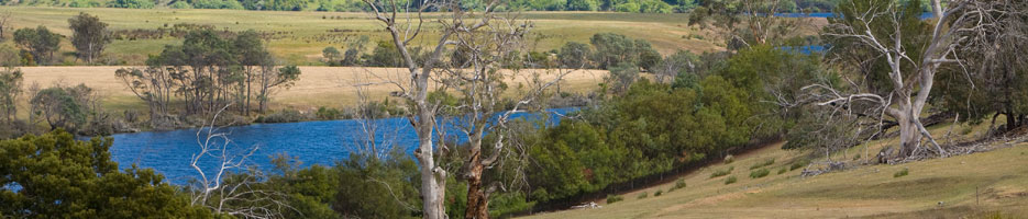 A lake, surrounded by bushland.